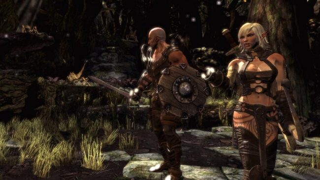 Screenshot de Hunted: The Demon's Forge (ESP)