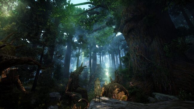 Screenshot de Black Desert (Prestige Edition) (ESP)