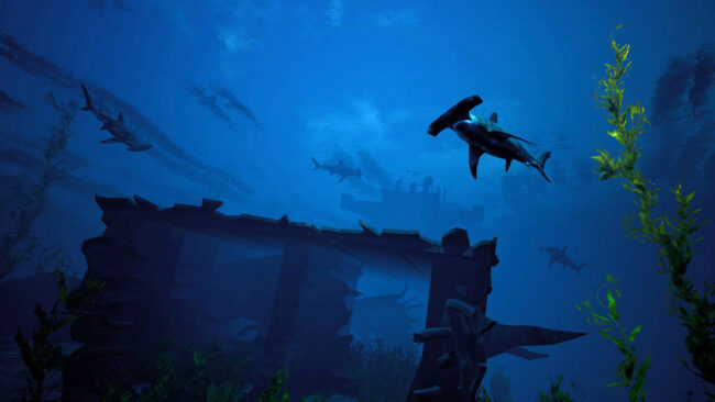 Screenshot de Maneater (Apex Edition) (ESP)
