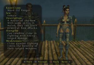 Screenshot de Champions of Norrath (ESP)