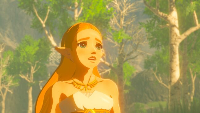 Screenshot de The Legend of Zelda: Breath of the Wild (ESP) (Precintado)