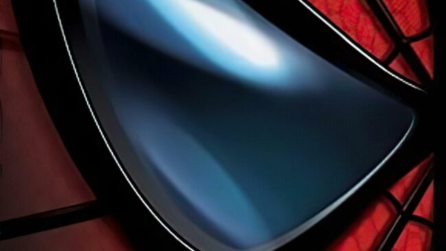 Screenshot de Spider-Man (ESP) (Manual)