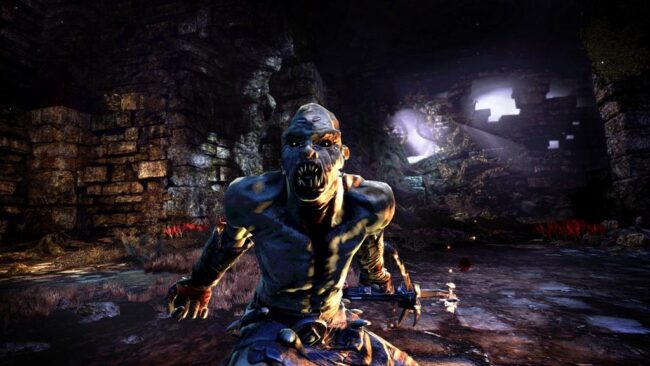Screenshot de Hunted: The Demon's Forge (ESP)