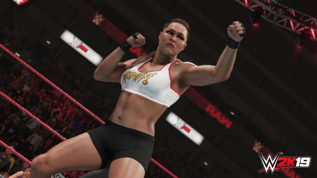 Screenshot de WWE 2K19 (ESP)