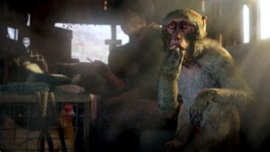Screenshot de Far Cry 4 (ESP)