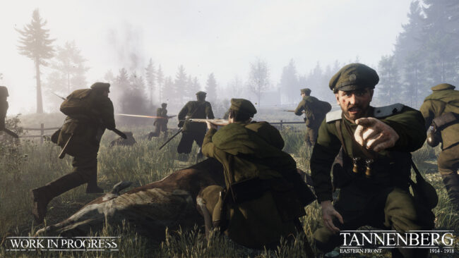 Screenshot de WWI Tannenberg: Eastern Front (ESP) (Precintado)