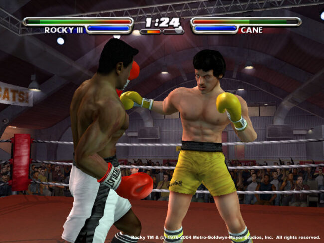 Screenshot de Rocky Legends (FRA)