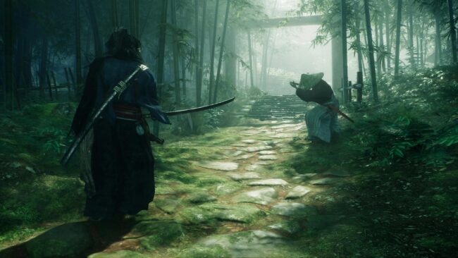 Screenshot de Rise of the Ronin (ESP) (Precintado)