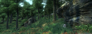 Screenshot de The Elder Scrolls IV: Oblivion (GOTY) (ESP)