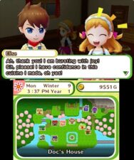Screenshot de Harvest Moon: El Pueblo del Árbol Celeste (ESP) (Precintado)