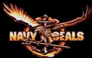 Screenshot de Navy SEALS (USA) (Rebajado)
