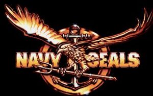 Screenshot de Navy SEALS (USA) (Rebajado)