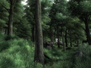 Screenshot de The Elder Scrolls IV: Oblivion (ESP)