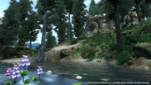 Screenshot de The Elder Scrolls IV: Oblivion (GOTY) (ESP)