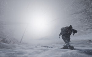 Screenshot de Fade to Silence (ESP) (Precintado)