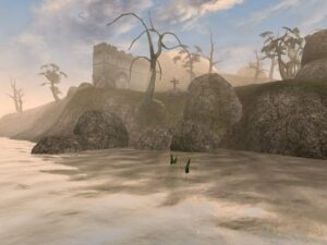 Screenshot de The Elder Scrolls III: Morrowind: GOTY (UK)