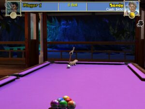 Screenshot de Pool Paradise (ESP) (Rebajado)